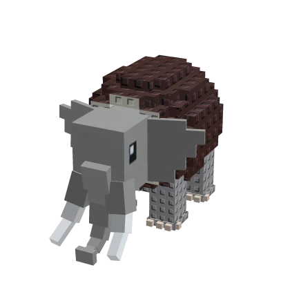 Toggle Image